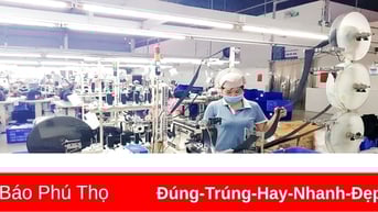 Nỗ lực chăm lo, bảo vệ người lao động