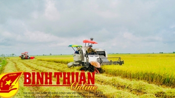 Để xứng tầm là một trong ba “trụ cột” kinh tế