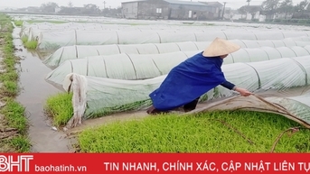 Rét đậm kéo dài, nông dân Hà Tĩnh tăng cường “giữ sức” cho lúa xuân
