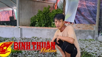 គេចផុតពីភាពក្រីក្រដោយការដាំស្វាយ និងចិញ្ចឹមដង្កូវនាង