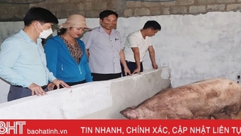 Từng bước hóa giải ô nhiễm chất thải chăn nuôi ở Hà Tĩnh