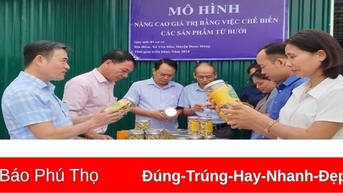 Giải pháp nâng cao giá trị kinh tế cây bưởi