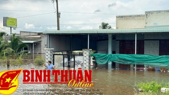 Khẩn trương thực hiện các giải pháp khắc phục ngập lụt tại huyện Hàm Thuận Nam
