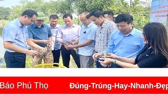 សង្ខេបគំរូនៃការសាងសង់កន្លែងចិញ្ចឹមបង្គាទឹកសាបខ្នាតយក្សគុណភាពខ្ពស់