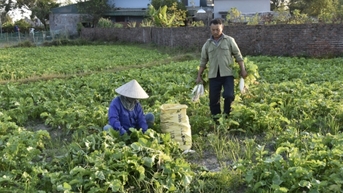 겨울철 작물 생산 실적에 대한 기대감 커져