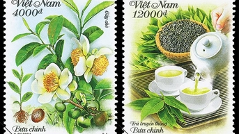 Giới thiệu cây chè và văn hóa trà của người Việt Nam trên tem bưu chính
