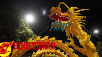 Đường hoa Xuân - lặng lẽ lúc 0 giờ