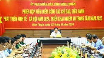 UBND tỉnh triển khai nhiệm vụ trọng tâm năm 2025