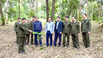 Đồng chí Phó Chủ tịch UBND tỉnh Hoàng Việt Phương kiểm tra công trình làm giàu rừng tại Sơn Dương ​