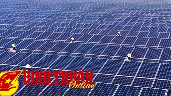 Phát huy tiềm năng, lợi thế để phát triển năng lượng tái tạo