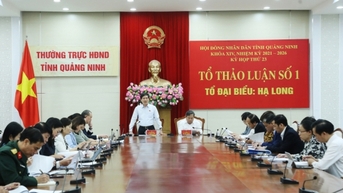 Đại biểu HĐND tỉnh thảo luận tại tổ nhiều nội dung quan trọng