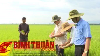 Nông dân lãi cao vụ đông xuân
