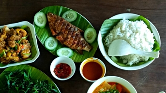 Rưng rưng hương rừng