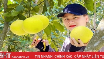 ផ្លែក្រូចថ្លុង Phuc Trach នាំមកជូនប្រជាជន Huong Khe ជិត ៥៩០ពាន់លានដុង