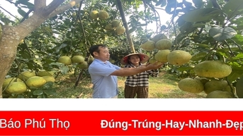 Trên 42 tỷ đồng hỗ trợ phát triển nông nghiệp, nông thôn