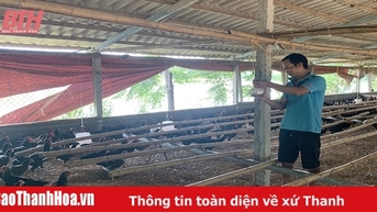 Chăn nuôi theo chuỗi giá trị