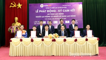 Công ty Điện lực Tuyên Quang phát động, ký cam kết an toàn lao động