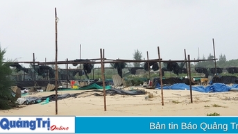 Thủy triều đánh vỡ hàng chục hồ nuôi hải sản của dân