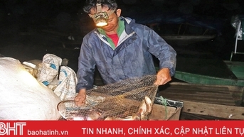 Ổn định sản xuất vùng nước ngọt, Hà Tĩnh thu hơn 9.200 tấn thủy sản