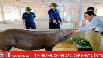 Doanh nghiệp Quế Lâm đồng hành cùng Hà Tĩnh phát triển sản xuất hữu cơ