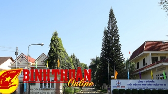 ដា ញឹម - ក្រុមហ៊ុន​ហ៊ុន​រួម​វារីអគ្គិសនី ហាំធួន