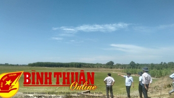 Trên 700 ha lúa đông xuân đang thiếu nước