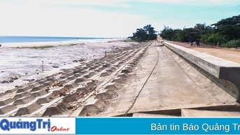Giảm tác động, tổn thất và thiệt hại do biến đổi khí hậu