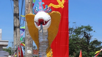 ‘Hoa hậu rắn’ ở Phú Yên gây chú ý