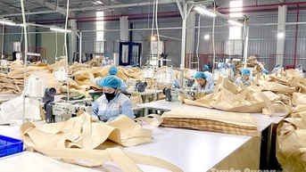 Nâng cao năng lực cạnh tranh của sản phẩm công nghiệp - Bài 2: Hội nhập và phát triển bền vững