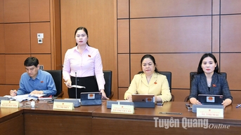 Đại biểu Quốc hội tỉnh thảo luận tổ về một số dự án luật, nghị quyết