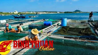 Phòng, chống dịch bệnh động vật thủy sản trên địa bàn tỉnh năm 2025
