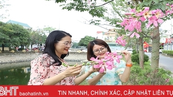 Ngắm sắc hoa mỹ nhân dịu dàng giữa lòng Thành Sen