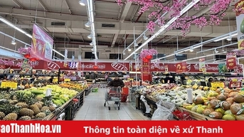 Sôi động thị trường bán lẻ dịp tết
