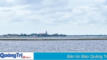 Trở lại vùng càng