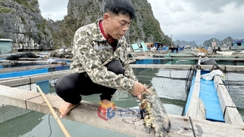 Tăng cường điều hành tín dụng, xử lý nợ xấu