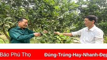 Bản lĩnh “Bộ đội Cụ Hồ”