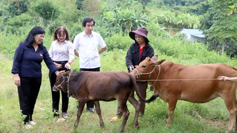 Thường trực HĐND tỉnh giám sát chuyên đề tại huyện Điện Biên Đông
