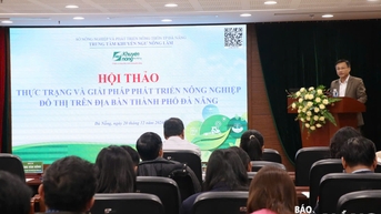 លើក​កម្ពស់​សក្តានុពល​កសិកម្ម​ទីក្រុង
