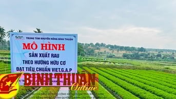 Hội thảo mô hình “Sản xuất rau hướng hữu cơ đạt chứng nhận VietGAP”