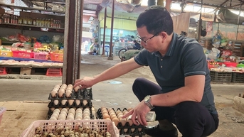 Giá trứng gia cầm giảm không bất thường