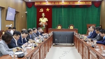 Bình Định ủng hộ Tập đoàn WPD thực hiện dự án điện gió tại huyện Vĩnh Thạnh