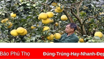 “Mình vì mọi người, mọi người vì mình”