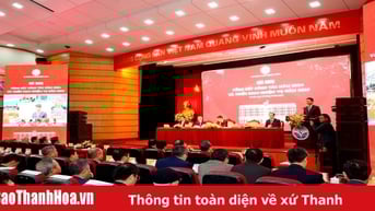 Doanh thu toàn ngành Thông tin và Truyền thông ước đạt 4.243.984 tỷ đồng, tăng 13,2%