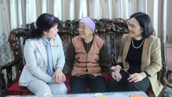 Đoàn ĐBQH tỉnh thăm, tặng quà Tết tại một số địa phương
