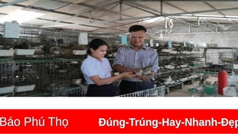 វេទិកាដើម្បីបង្កើតសន្ទុះសម្រាប់ការអភិវឌ្ឍន៍