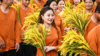 Không khí hào hùng tái hiện đoàn quân tiến về tiếp quản Thủ đô năm 1954