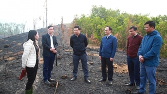 Phó Chủ tịch UBND tỉnh Nghiêm Xuân Cường kiểm tra công tác chuẩn bị lễ phát động Tết trồng cây tại huyện Tiên Yên