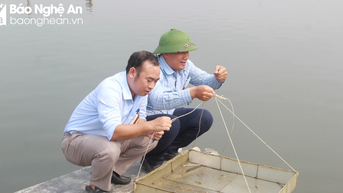 Bước đầu xác định nguyên nhân tôm chết bất thường ở Nghệ An
