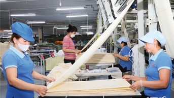 Nhiều điểm sáng trong bức tranh kinh tế của tỉnh