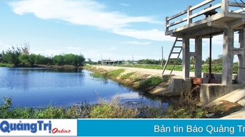 Hiệu quả những công trình ngăn mặn